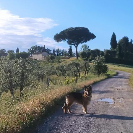 Casale La Giara Apartment Sorrezzana Bagian luar foto